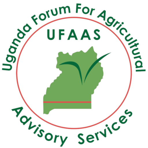UFAAS Hackathon 2021