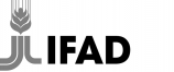 4_ifad_c_logo