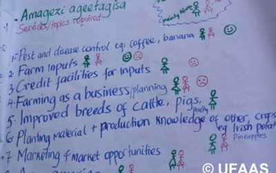 Agricultural extension and advisory services during the Covid-19 pandemic: How were the actors reaching their clients?