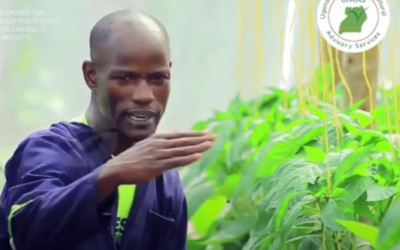 Youthful brothers earn big from Climate Smart vegetable production at the Farmacy farm