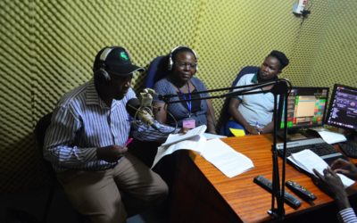 The impact of INGENAES-UFAAS on public agricultural extension service delivery in Uganda