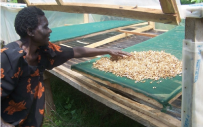 She retired from teaching and now earns over Shs4m from mushrooms