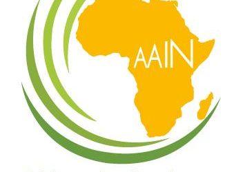 AAIN mentorship programme for Africa