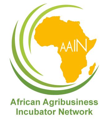 AAIN mentorship programme for Africa