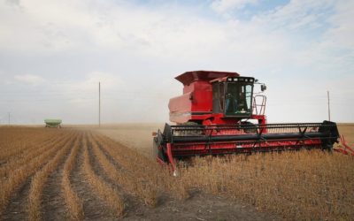 Walking the Talk On Commercialising Agriculture