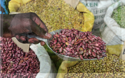 Farmers to benefit from processed bean innovation