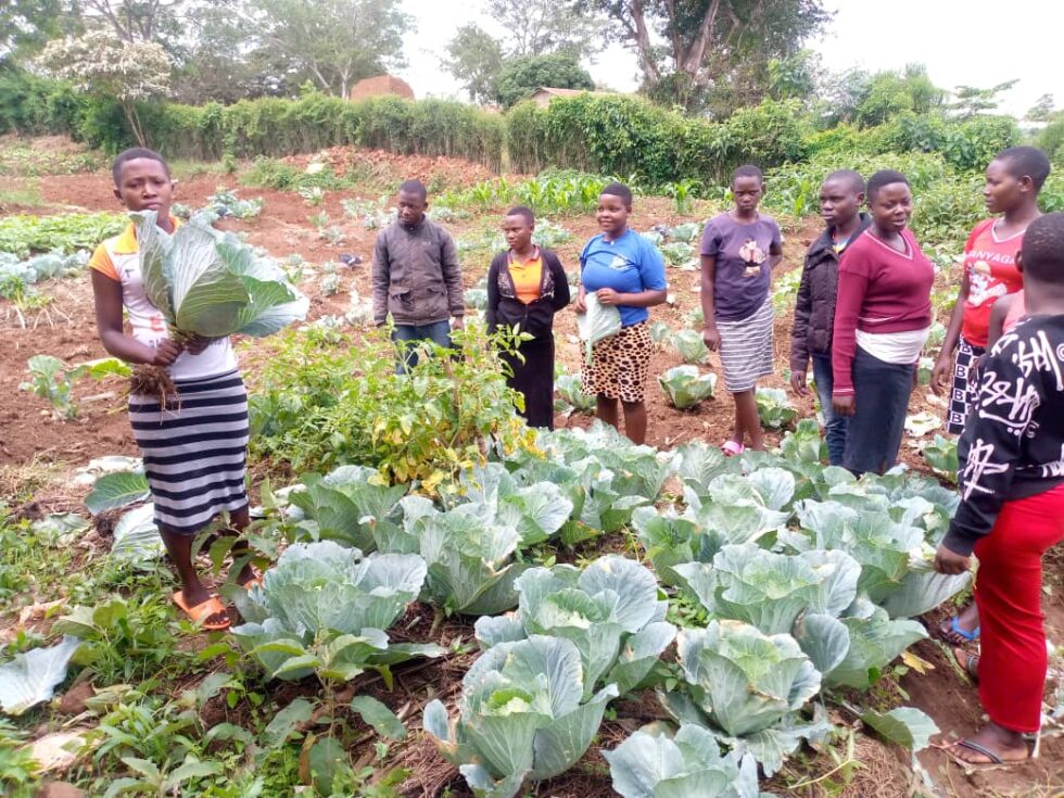 Uganda set to organize first National Agricultural Extension Week 2023 ...