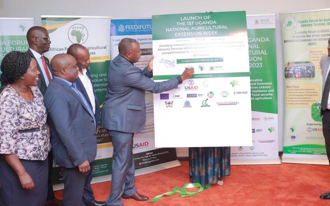 Uganda launches the Agricultural Extension Week 2023: actors call for innovation and stronger partnerships
