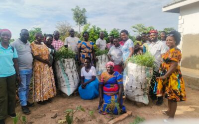 UFAAS agroecology project ignites change among smallholders in Soroti and Buikwe Districts