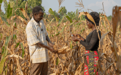 Beyond the human touch: Can Generative AI transform Uganda’s agricultural extension and advisory services?