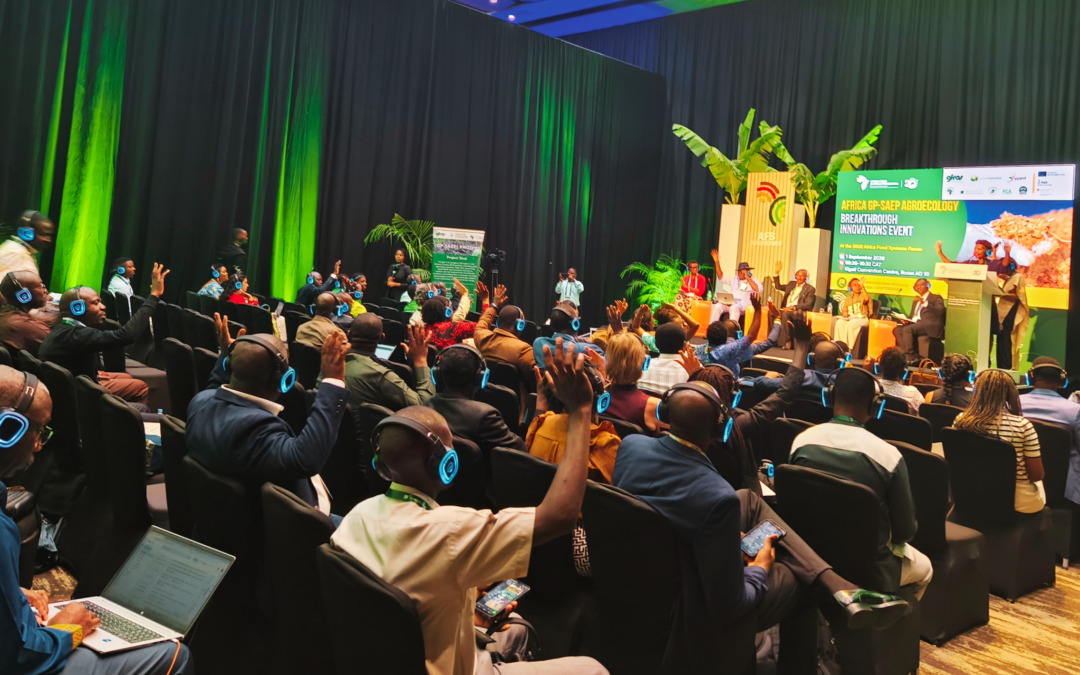 GP-SAEP Closes Implementation Phase with Call to carry Africa’s Agroecology Innovations Forward